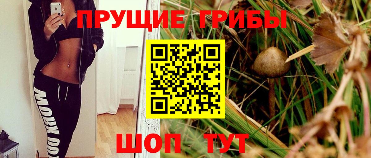что такое   Вход с VPN  Галлюциногенные грибы GOLDEN TEACHER  Семёнов  Псилоцибиновые грибы Magic Shrooms 